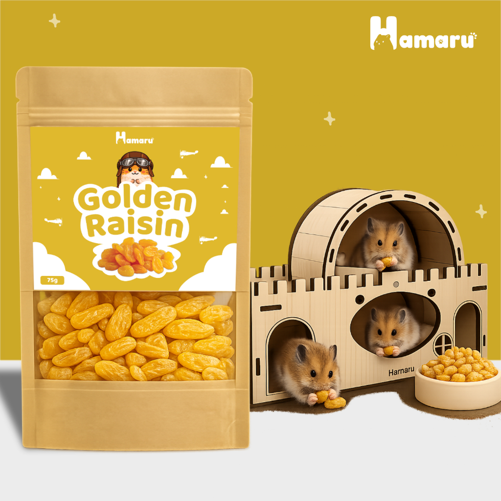 Hamaru Golden Raisin Kismis Snack Camilan Natural Hamster Sugar Glider Alami Tanpa Pengawet - 75g