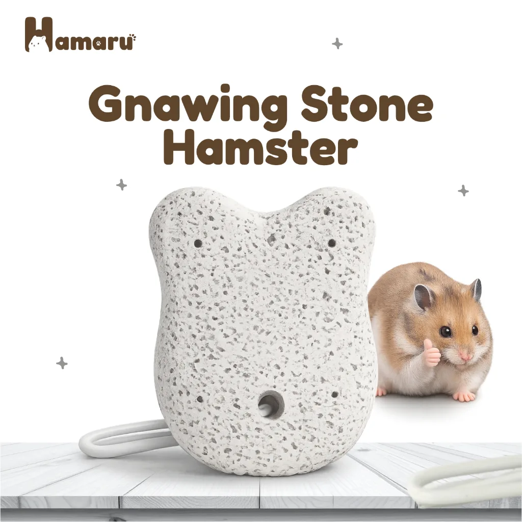 Hamaru Gnawing Stone Hamster Batu Gigit Mineral Alami Asah Gigi Anti Gigi Panjang Aman