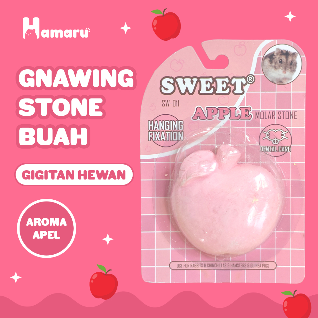 HAMARU Gnawing Stone Buah Batu Gigitan Hewan Hamster Bentuk Buah - Apel