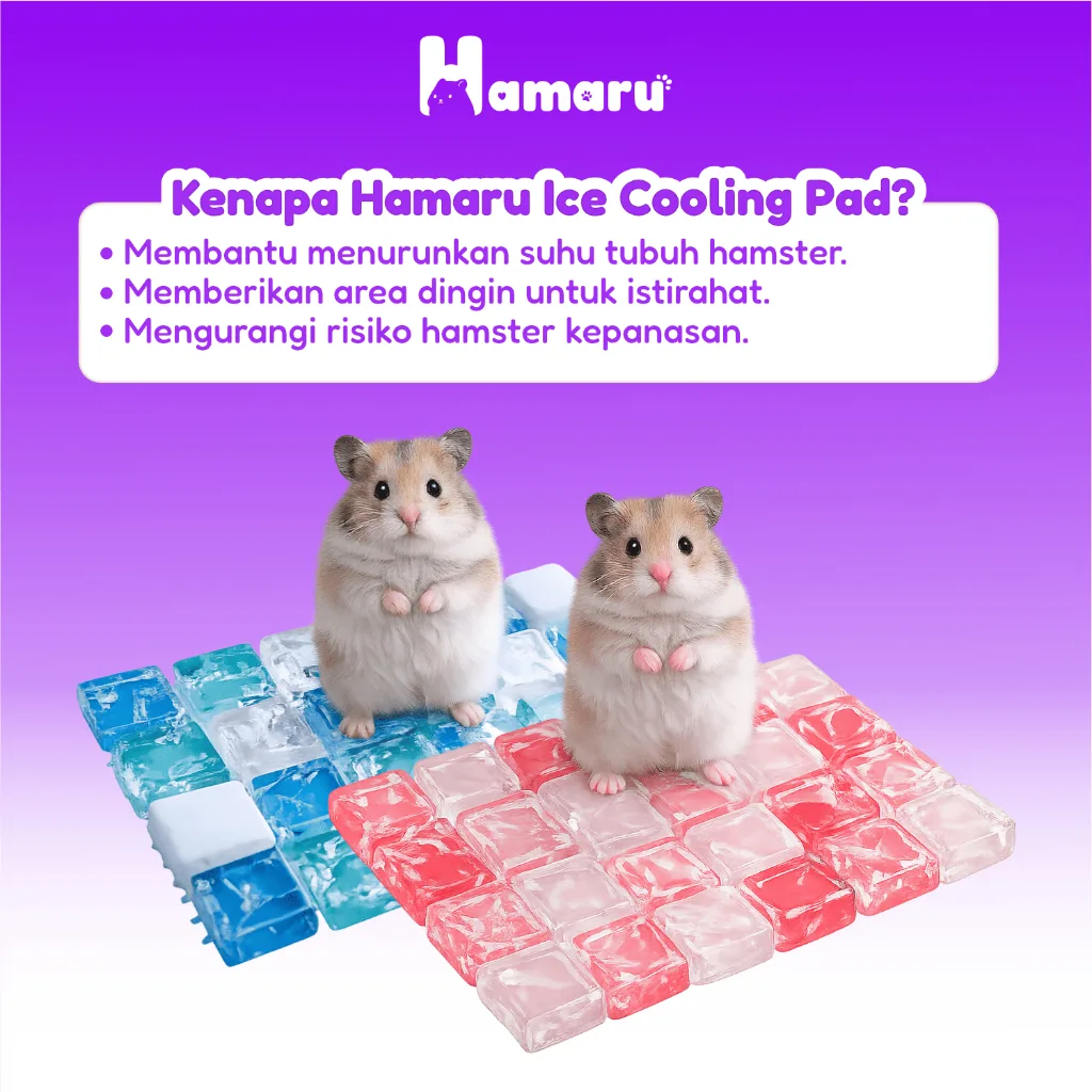 Hamaru Dispenser Jumbo Tempat Makan dan Minum Hamster Kapasitas Besar Transparan Praktis