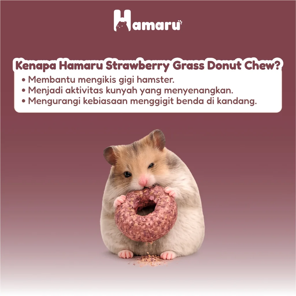 Hamaru Grass Donut Natural Chew Mainan Gigit Hamster Natural Snack Varian Rasa - Strawberry