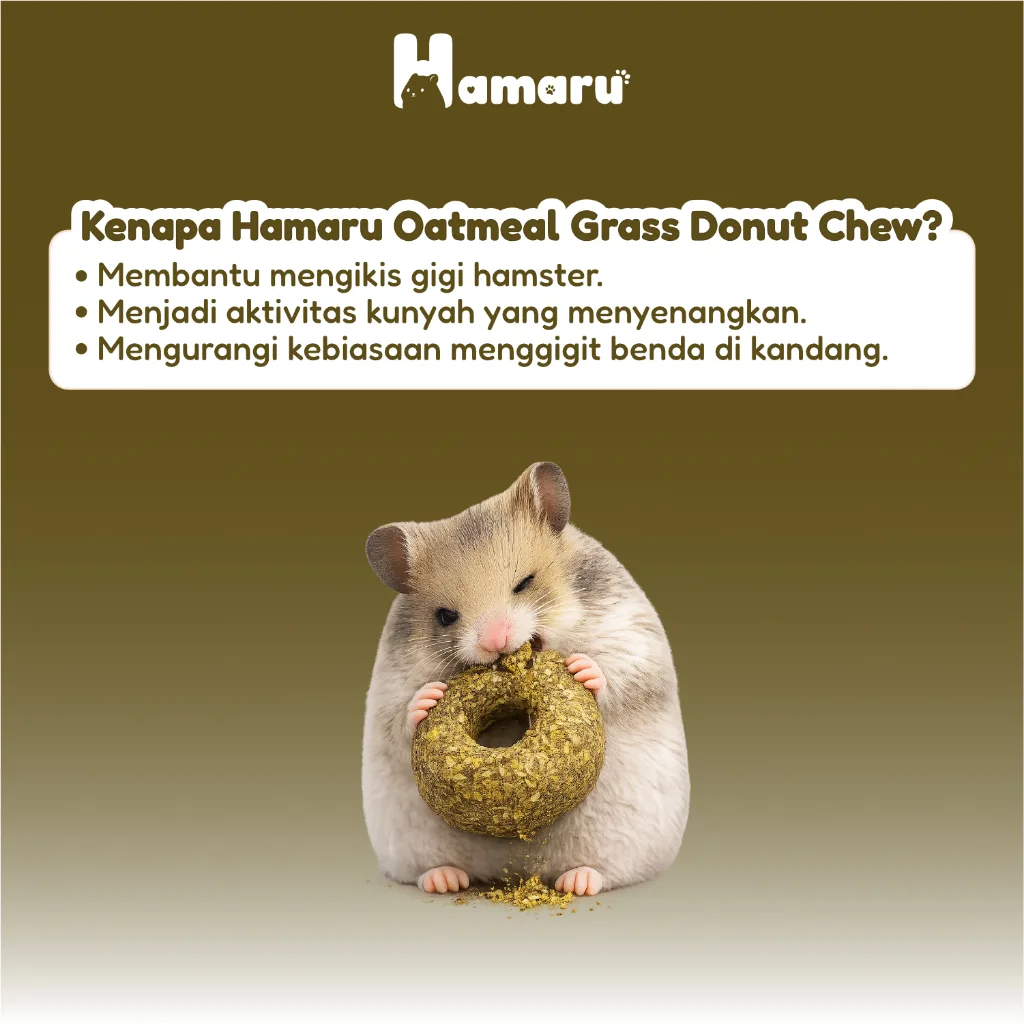 Hamaru Grass Donut Natural Chew Mainan Gigit Hamster Natural Snack Varian Rasa - Oatmeal