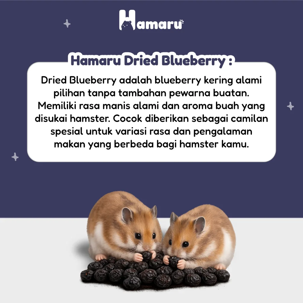 Hamaru Dried Blueberry Kering Snack Camilan Natural Hamster Sugar Glider Alami Tanpa Pengawet - 75g