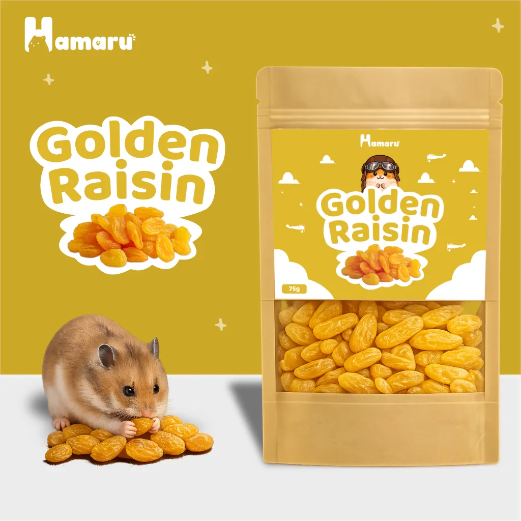 Hamaru Golden Raisin Kismis Snack Camilan Natural Hamster Sugar Glider Alami Tanpa Pengawet - 75g