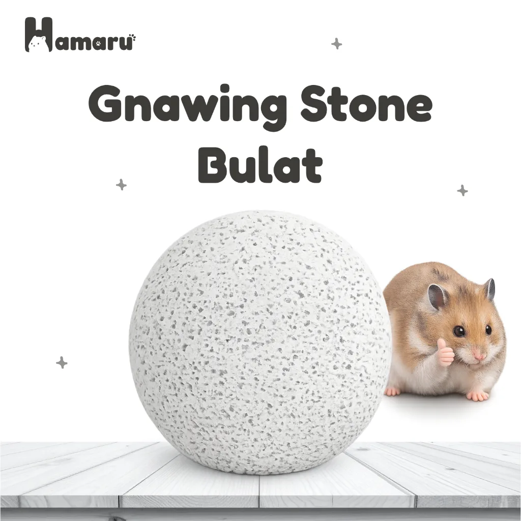Hamaru Gnawing Stone Bulat Batu Gigit Hamster Mineral Alami Asah Gigi Anti Gigi Panjang Aman