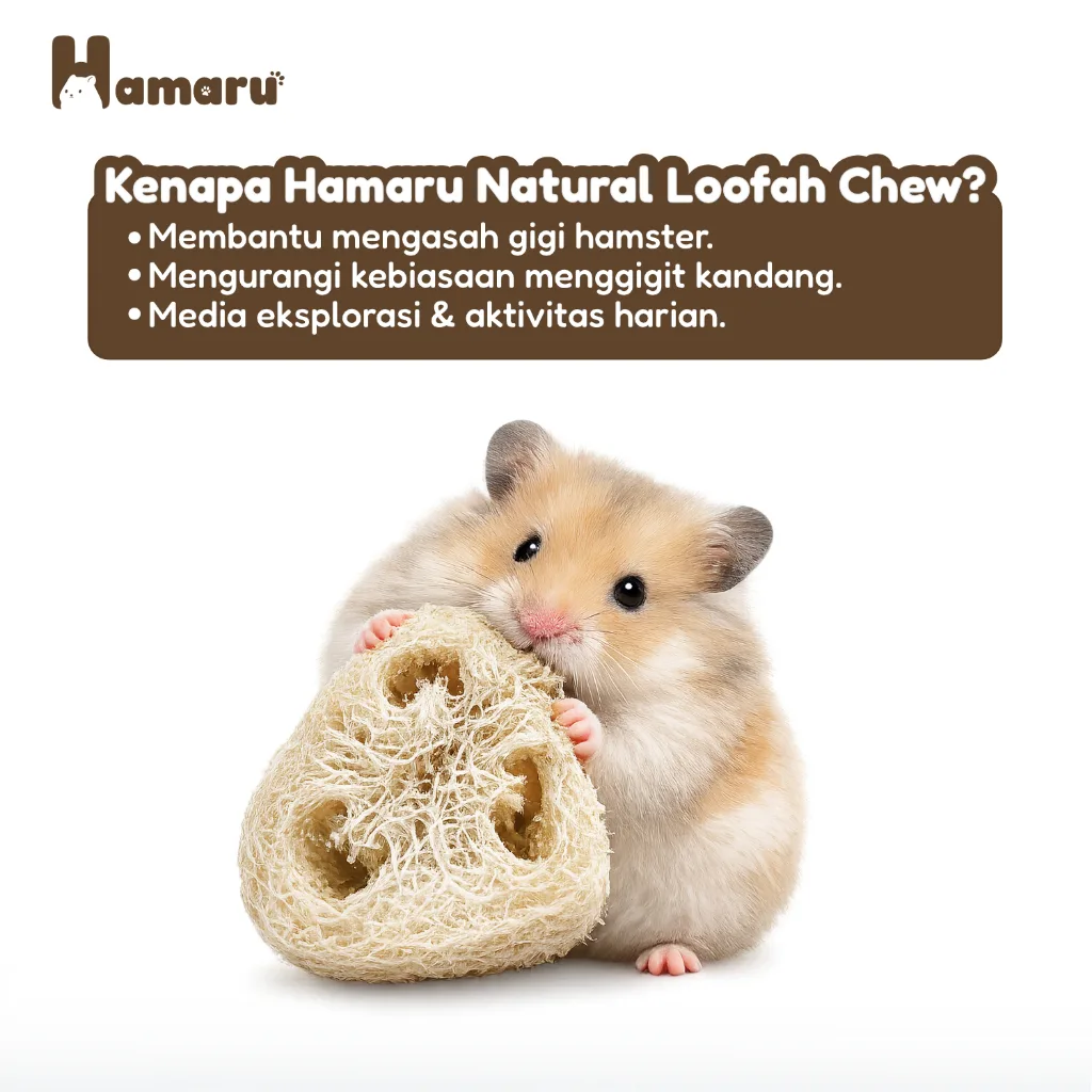 Hamaru Natural Loofah Chew Mainan Gigit Natural Hamster Hewan Kecil