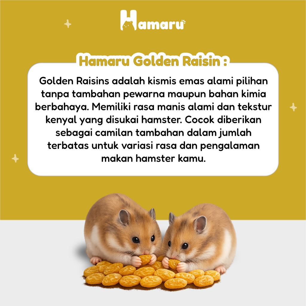 Hamaru Golden Raisin Kismis Snack Camilan Natural Hamster Sugar Glider Alami Tanpa Pengawet - 75g