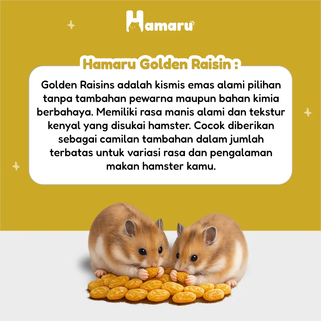 Hamaru Golden Raisin Kismis Snack Camilan Natural Hamster Sugar Glider Alami Tanpa Pengawet - 75g