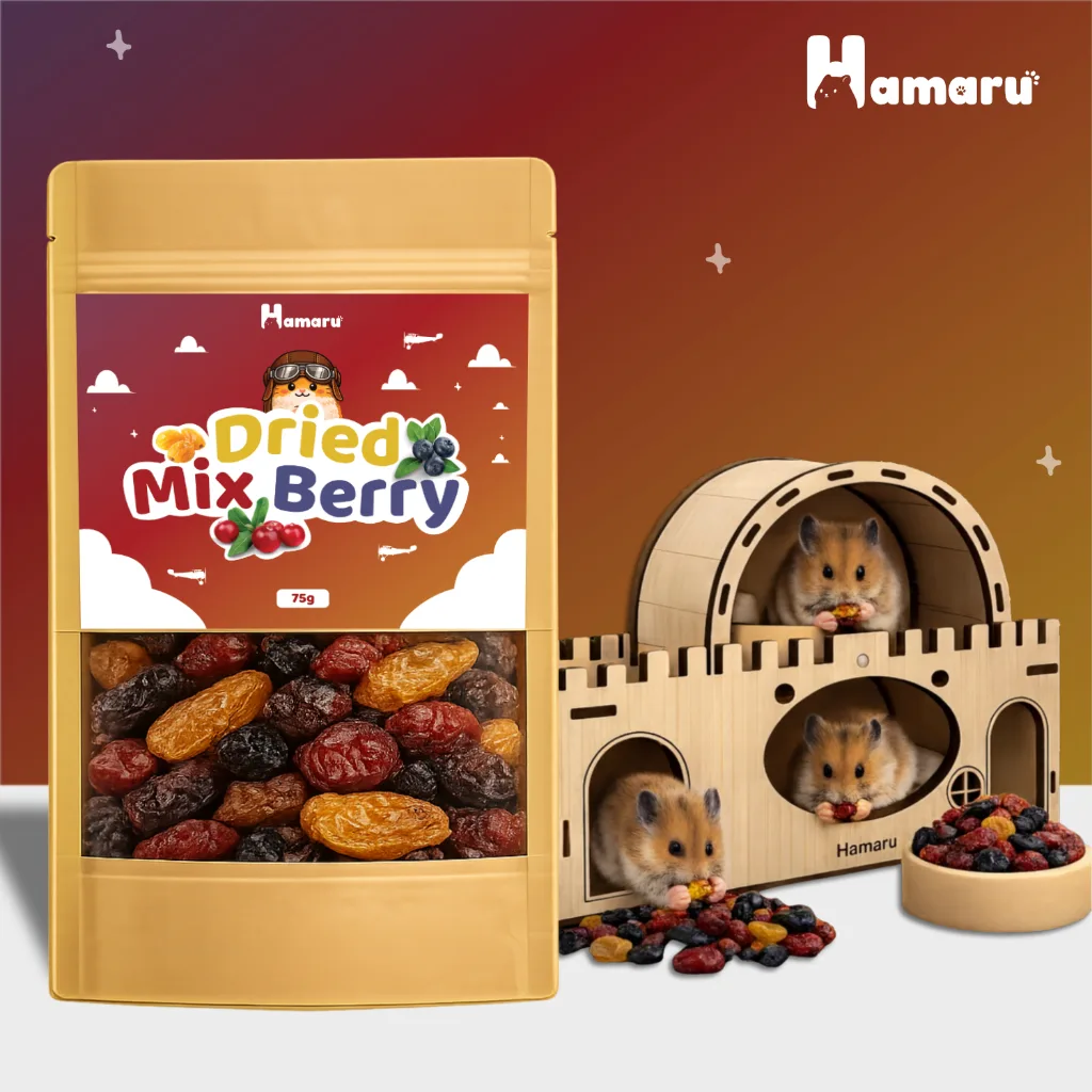 Hamaru Dried Mix Berry Snack Buah Kering Premium Natural Snack Camilan Hamster Marmut Sugar Glider