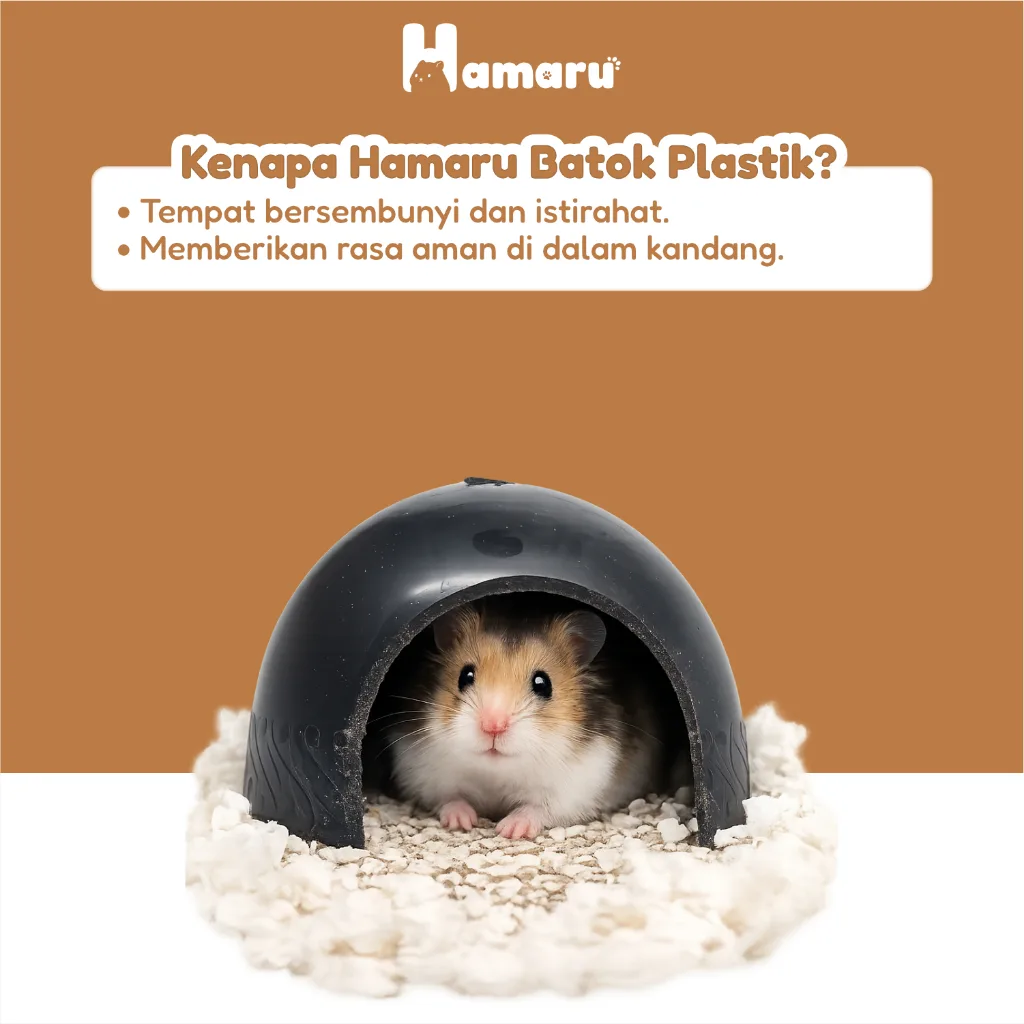 Hamaru Batok Plastik Sleeping Igloo Rumah Sembunyi Hamster Marmut Hewan Kecil