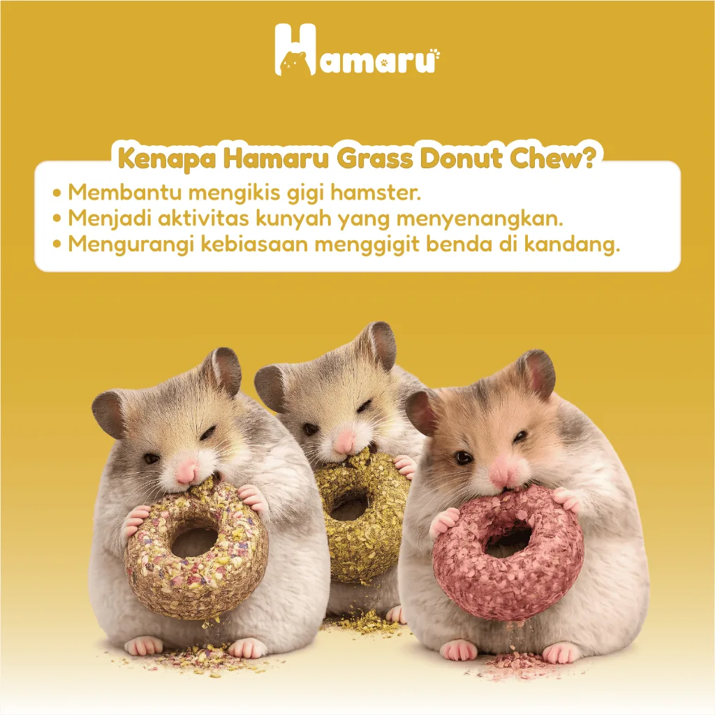 Hamaru Dispenser Jumbo Tempat Makan dan Minum Hamster Kapasitas Besar Transparan Praktis