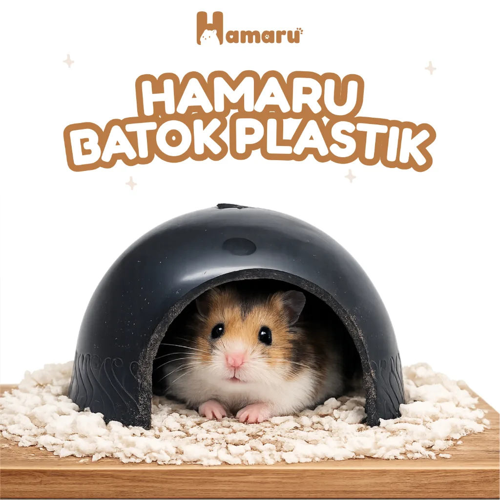 Hamaru Batok Plastik Sleeping Igloo Rumah Sembunyi Hamster Marmut Hewan Kecil