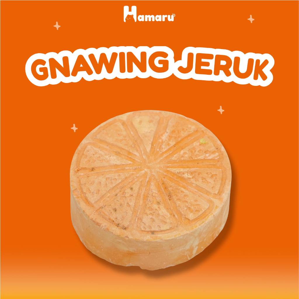 Hamaru Gnawing Buah Jeruk Mainan Gigit Chew Toy Hamster Sugar Glider Marmut Hewan kecil