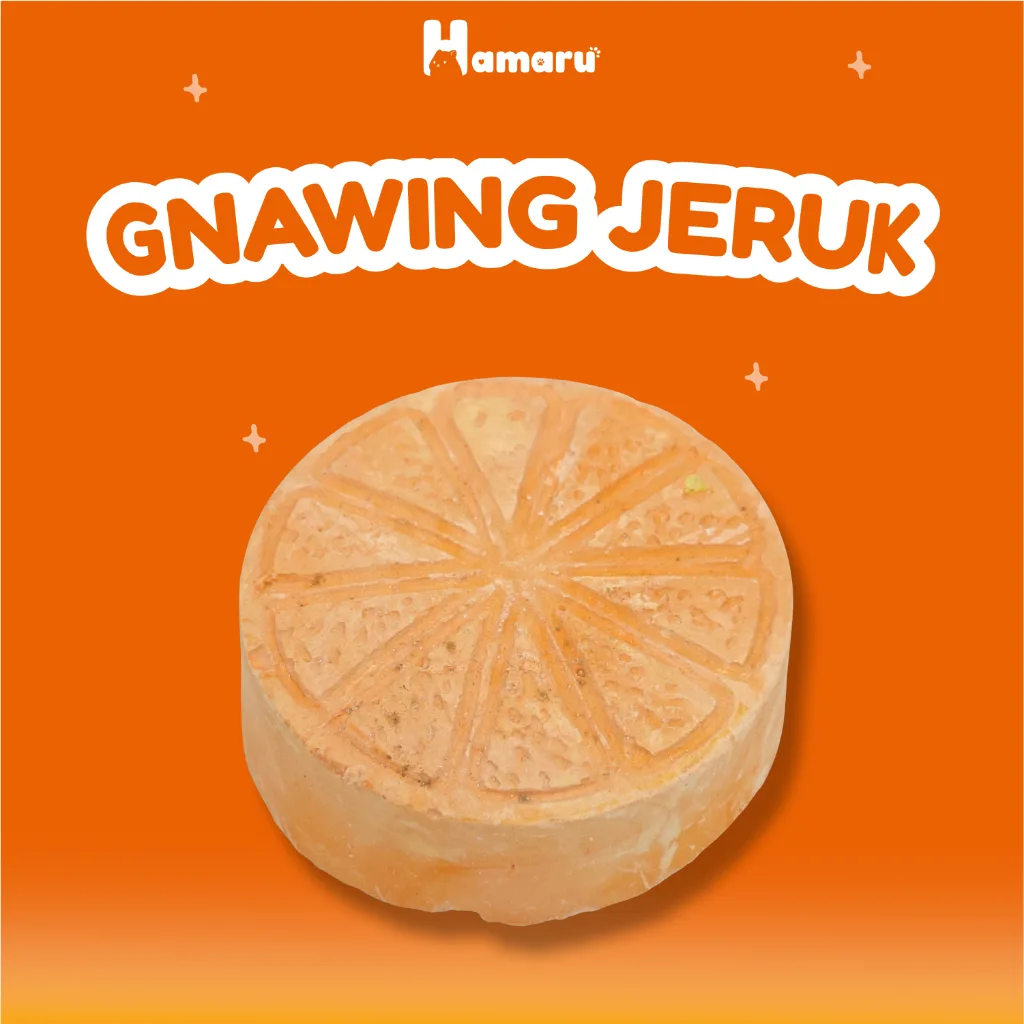 Hamaru Gnawing Buah Jeruk Mainan Gigit Chew Toy Hamster Sugar Glider Marmut Hewan kecil