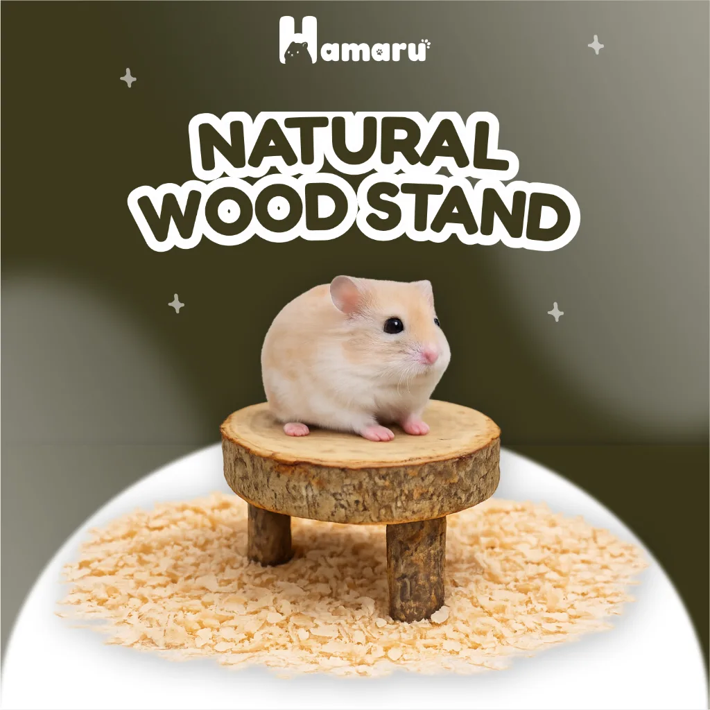 Hamaru Natural Wood Stand Pijakan Kayu Asli Platform Dekor dan Enrichment Accesories Kandang Hamster