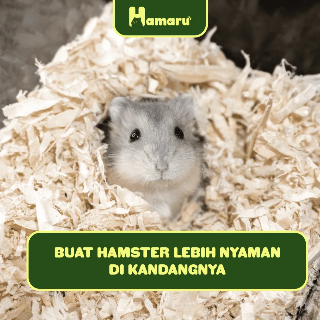 Hamaru Serbuk Kayu Hamster Marmut Gerbil Sugar Glider Alas Kandang Bedding Natural & Bebas Debu
