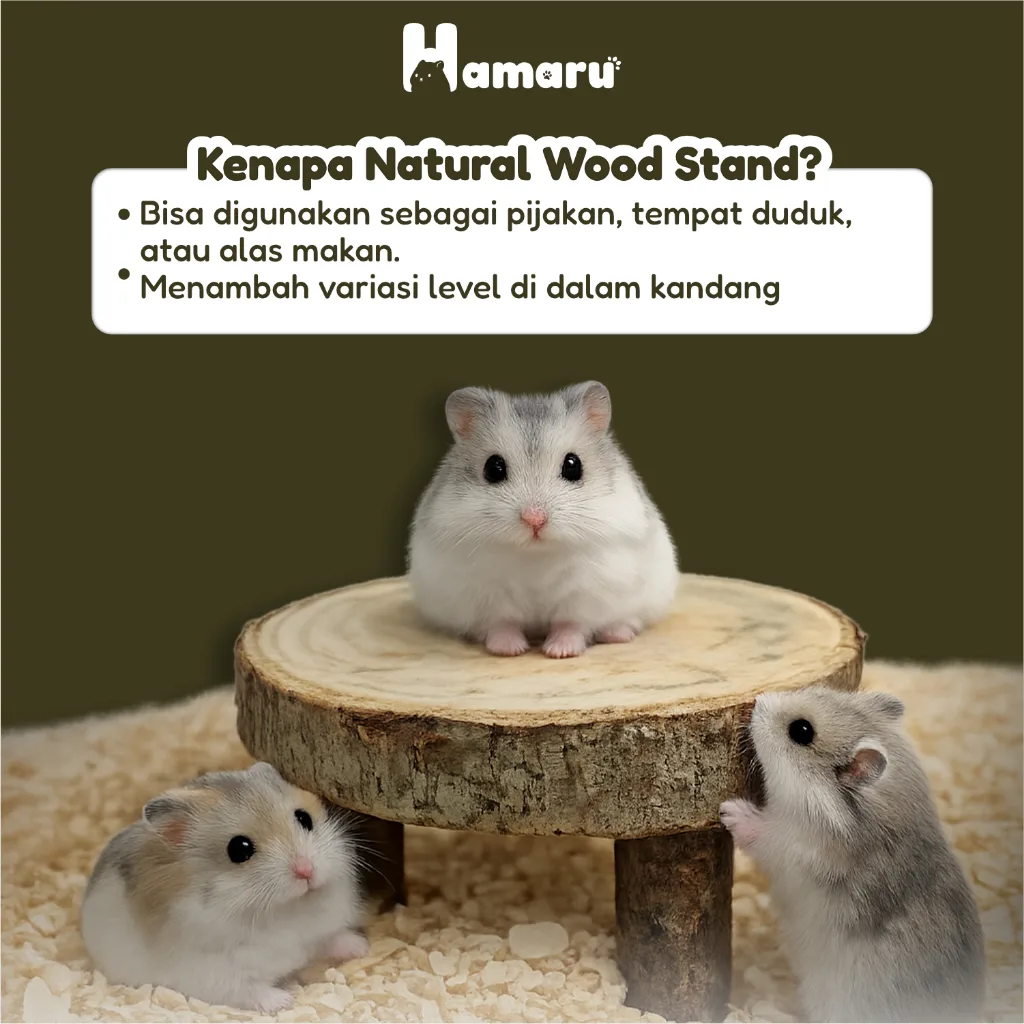 Hamaru Natural Wood Stand Pijakan Kayu Asli Platform Dekor dan Enrichment Accesories Kandang Hamster