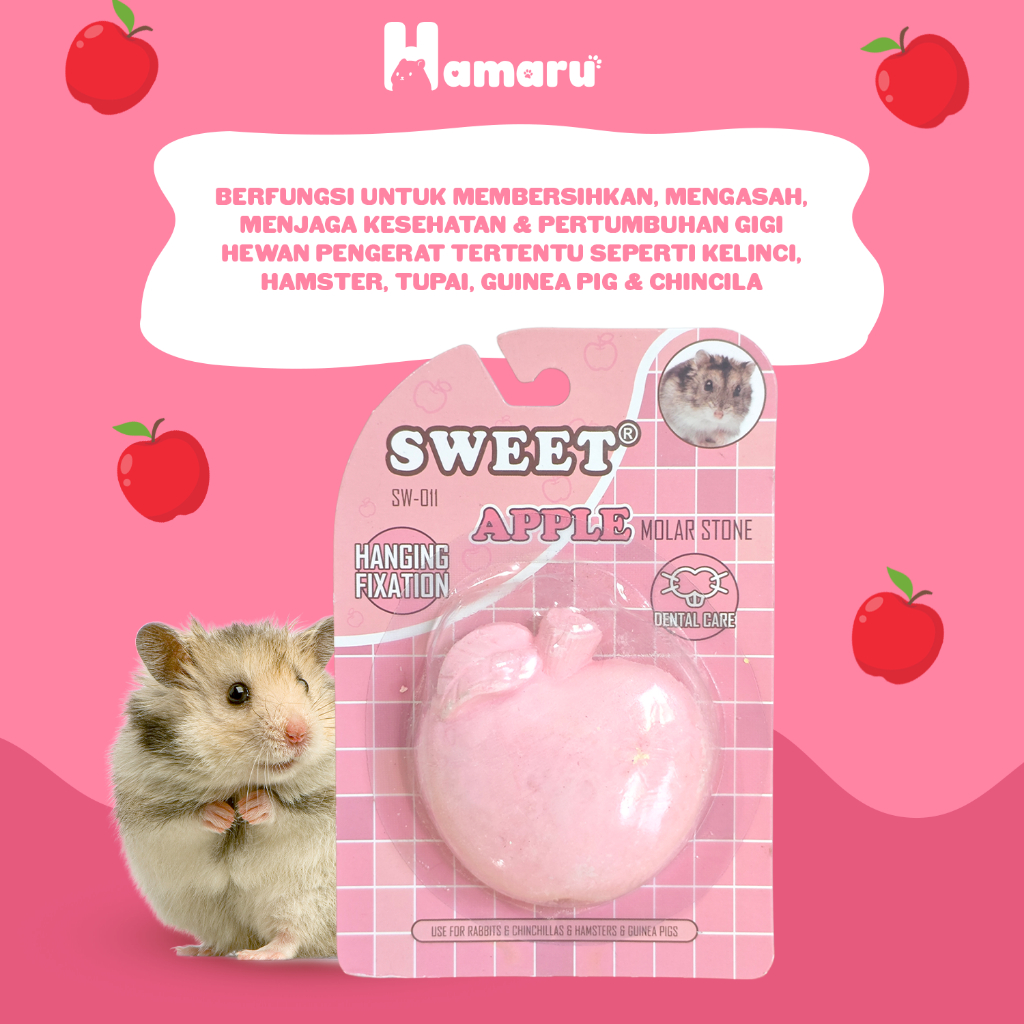 HAMARU Gnawing Stone Buah Batu Gigitan Hewan Hamster Bentuk Buah - Apel