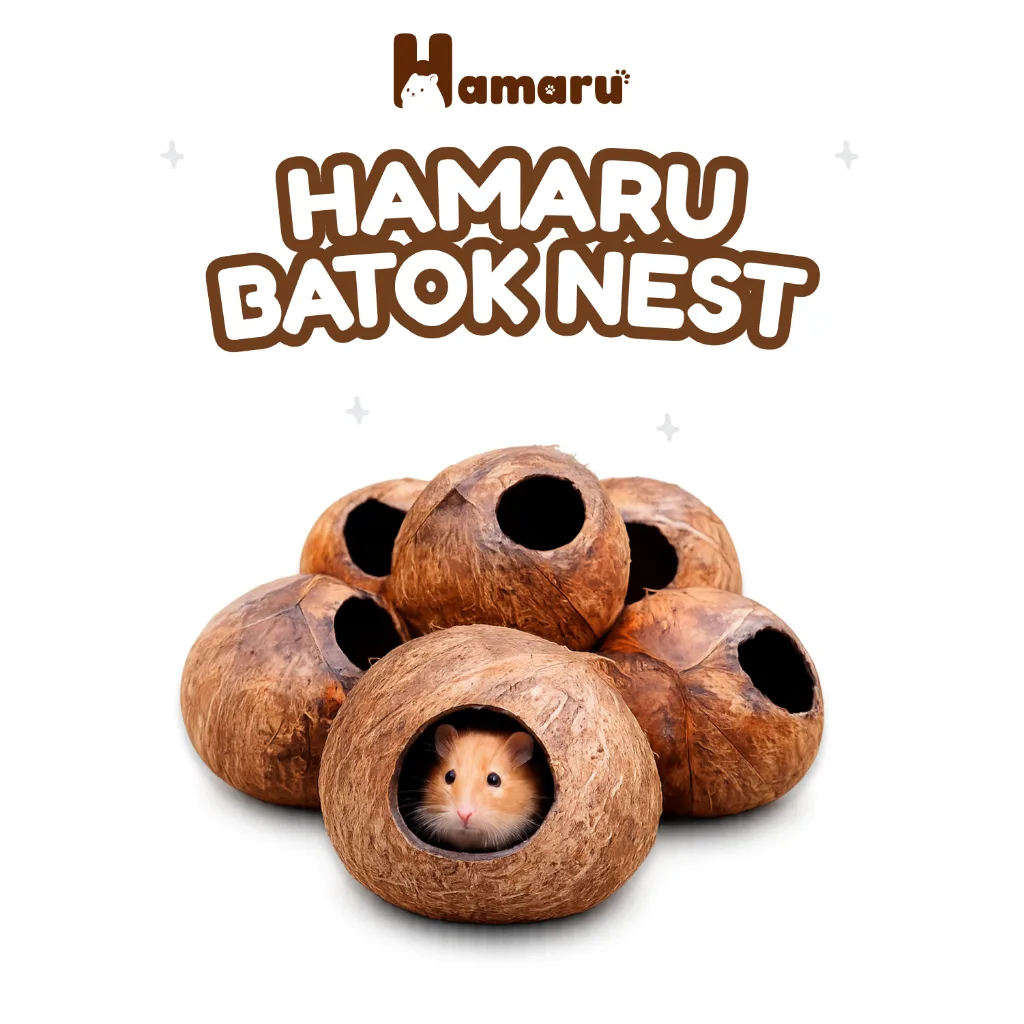 Rumah & Aksesoris DIY