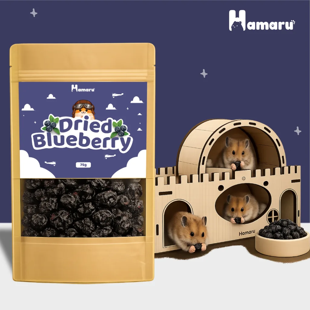 Hamaru Dried Blueberry Kering Snack Camilan Natural Hamster Sugar Glider Alami Tanpa Pengawet - 75g