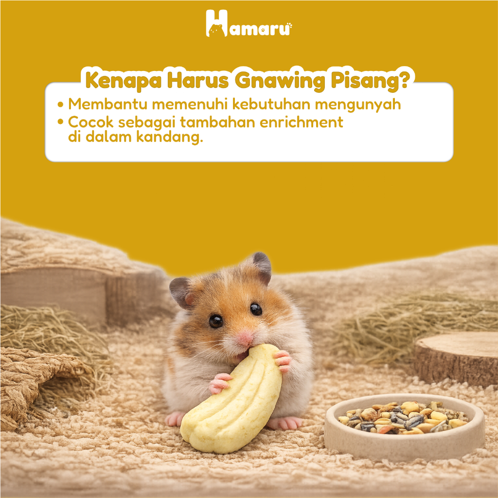 Hamaru Gnawing Buah Pisang Mainan Gigit Chew Toy Hamster Sugar Glider Marmut Hewan kecil