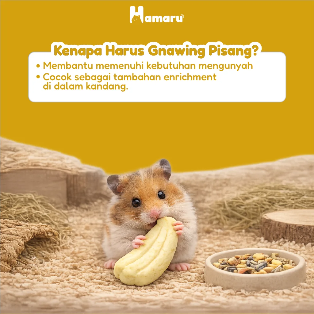 Hamaru Gnawing Buah Pisang Mainan Gigit Chew Toy Hamster Sugar Glider Marmut Hewan kecil