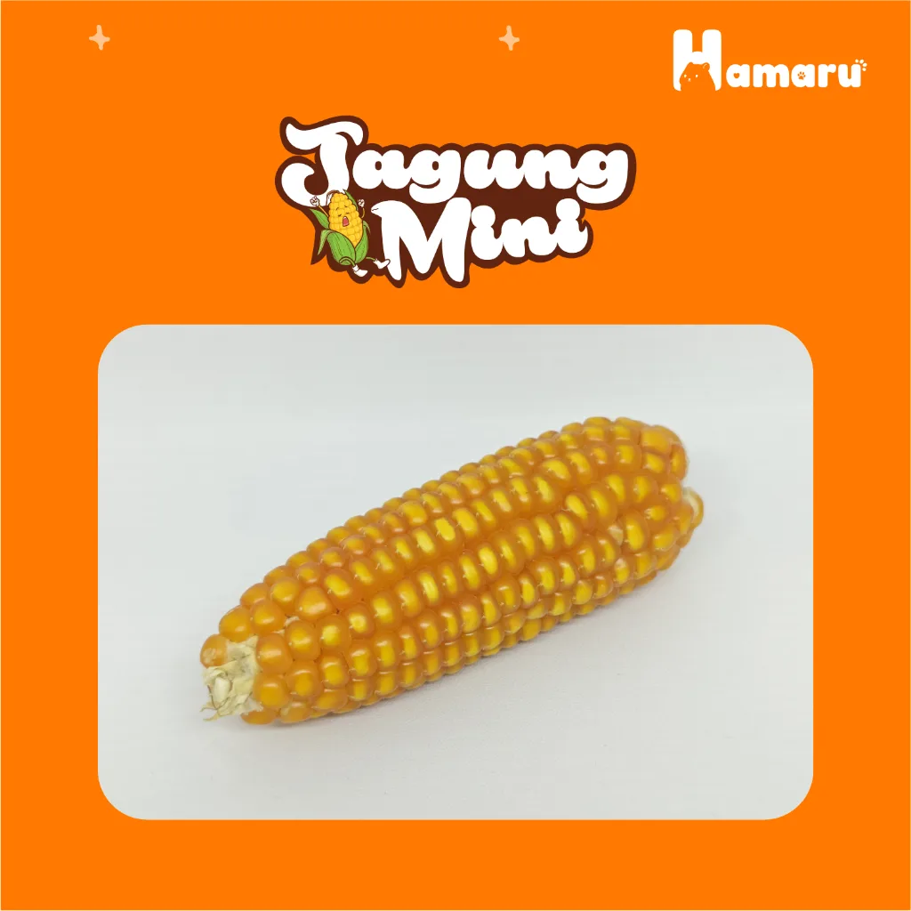 Hamaru Jagung Mini Corn Pakan Kering Hamster Cemilan Sehat Kaya Nutrisi