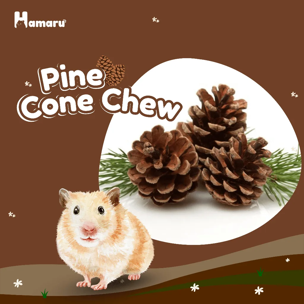 HAMARU Pine Cone Chew Perawatan Gigitan Hamster Alami Biji Pinus