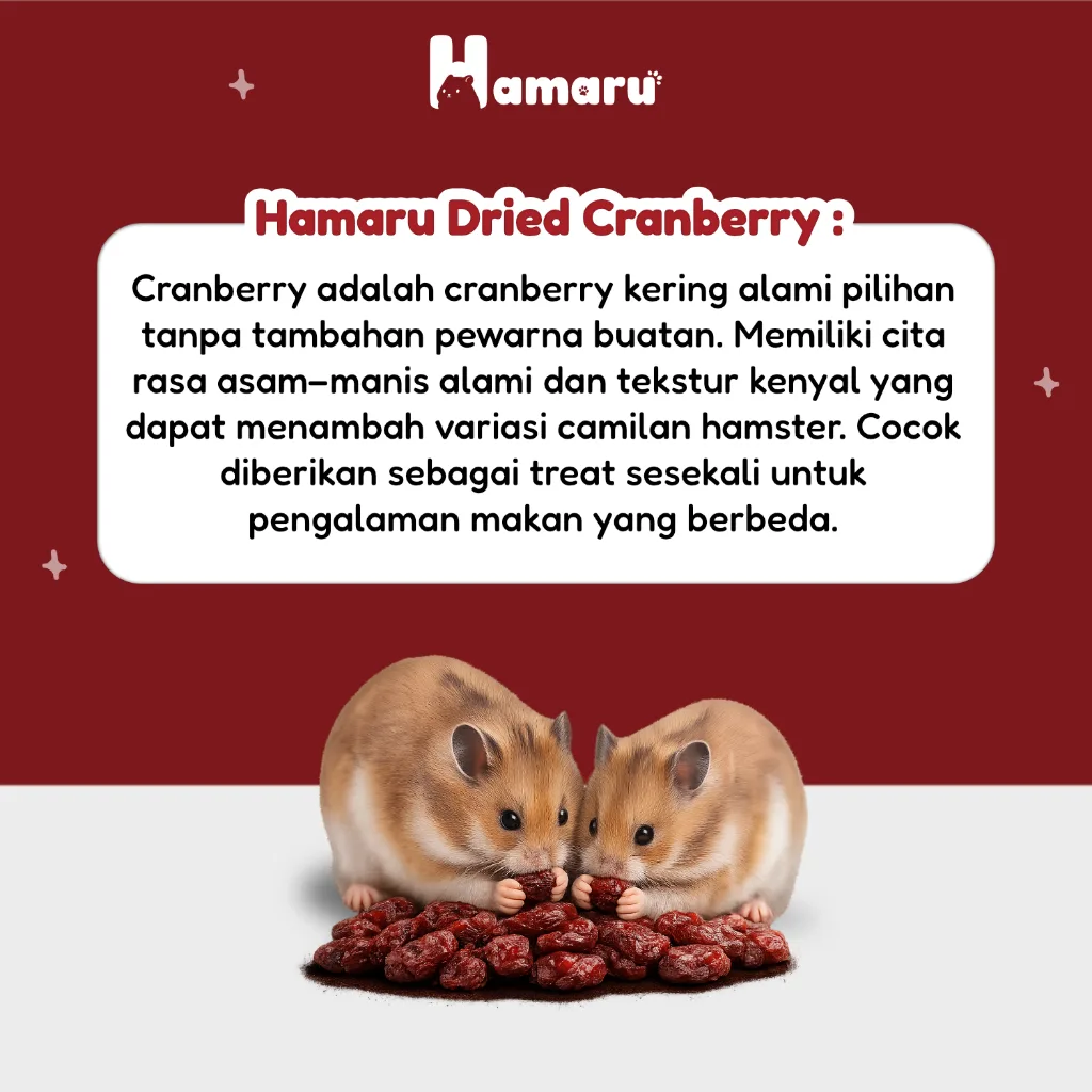 Hamaru Dried Cranberry Snack Camilan Natural Hamster Sugar Glider Alami Tanpa Pengawet - 75g