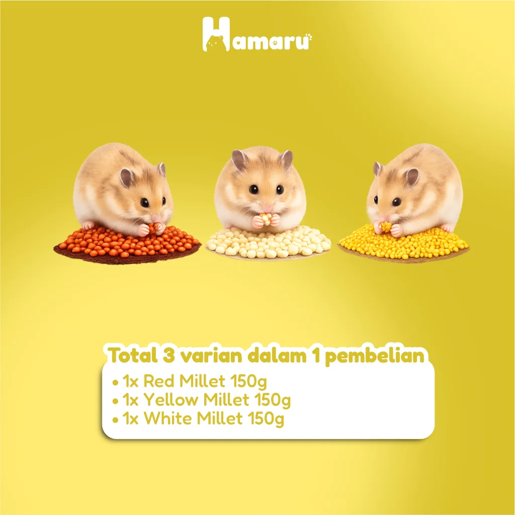 Hamaru Millet Bundle Mix Red Yellow White Millet Pakan Hamster Natural Variasi Pakan