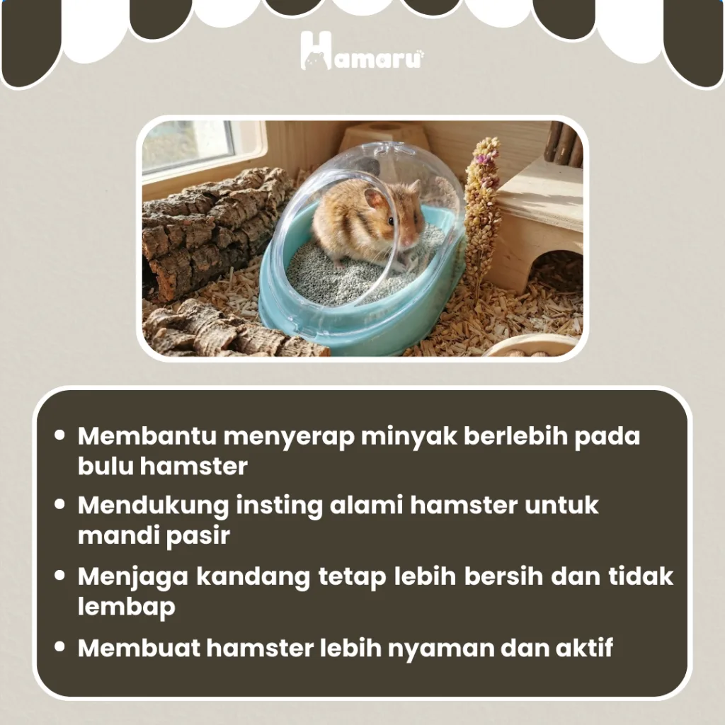 HAMARU Sandbath Pasir Mandi Halus Hamster Hewan Kecil Pasir Mandi Murah 1KG