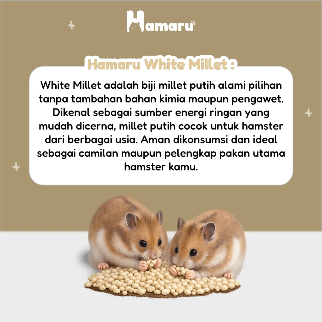 Hamaru White Millet Biji Millet Putih Alami Pakan Harian Natural Hamster Marmut Kecil - 150g