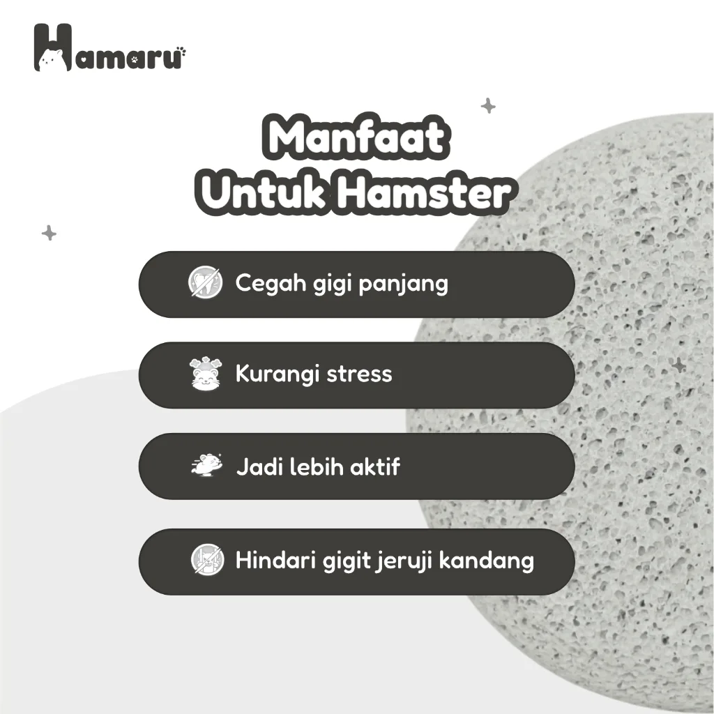 Hamaru Gnawing Stone Bulat Batu Gigit Hamster Mineral Alami Asah Gigi Anti Gigi Panjang Aman