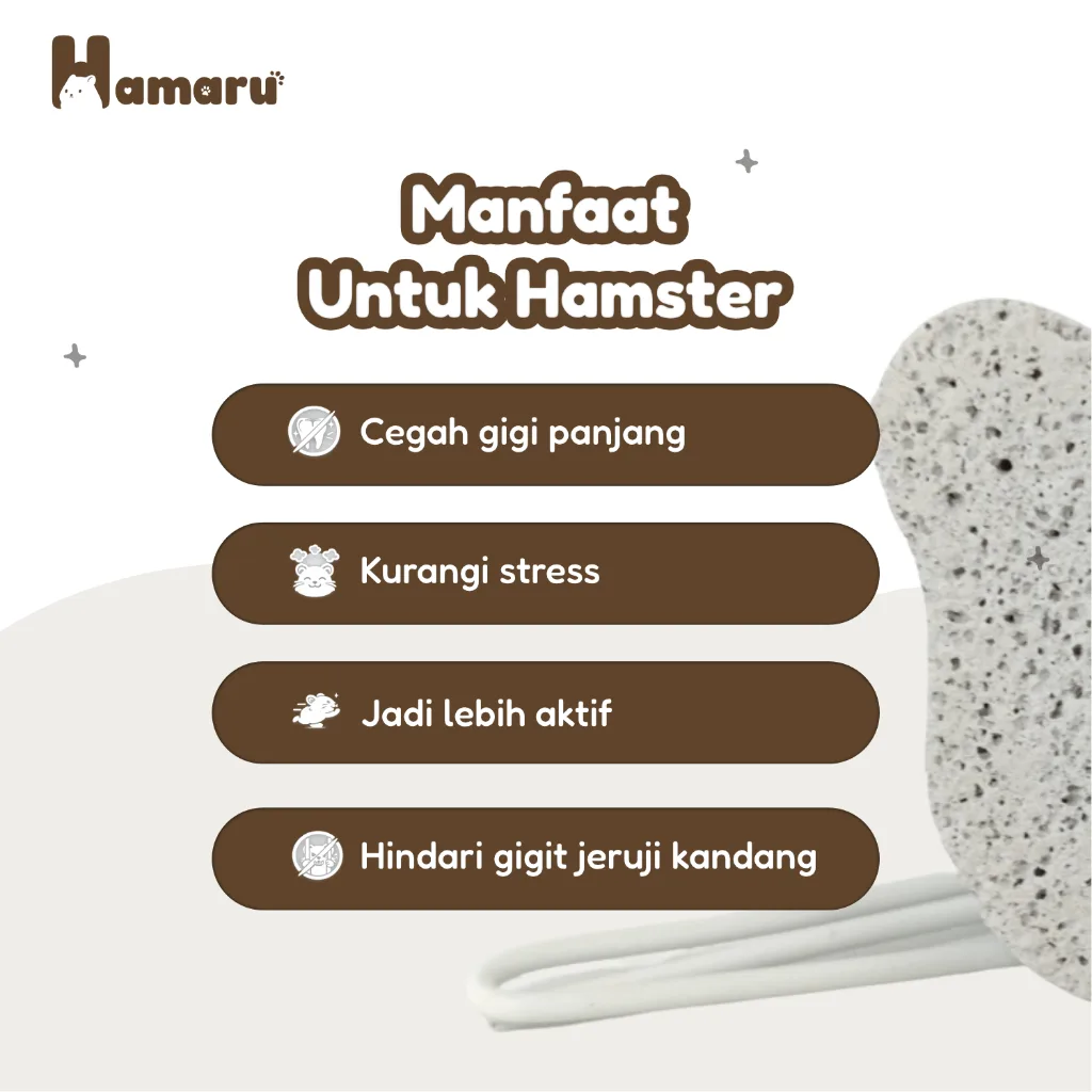 Hamaru Gnawing Stone Hamster Batu Gigit Mineral Alami Asah Gigi Anti Gigi Panjang Aman
