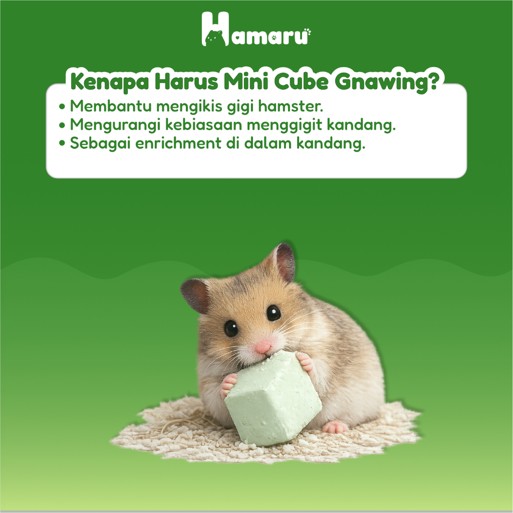 Hamaru Mini Cube Gnawing Batu Asah Gigi Hamster Marmut Sugar Glider