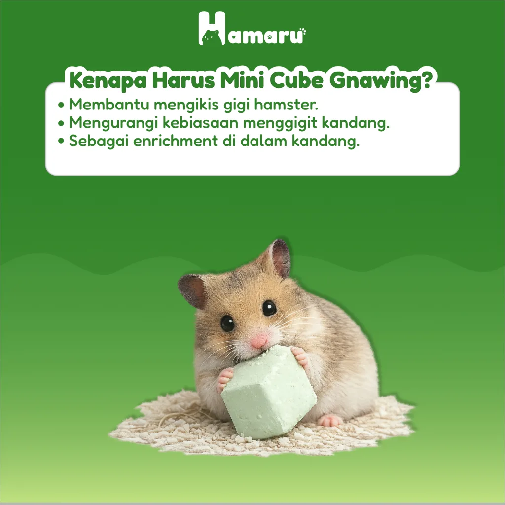 Hamaru Mini Cube Gnawing Batu Asah Gigi Hamster Marmut Sugar Glider