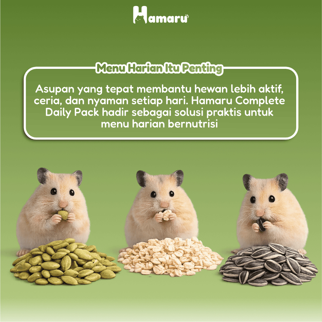Hamaru Complete Daily Pack Makanan Hamster Paket Lengkap Menu Makanan Harian Bernutrisi (kuaci, Pump Bites, Rolled Oat)