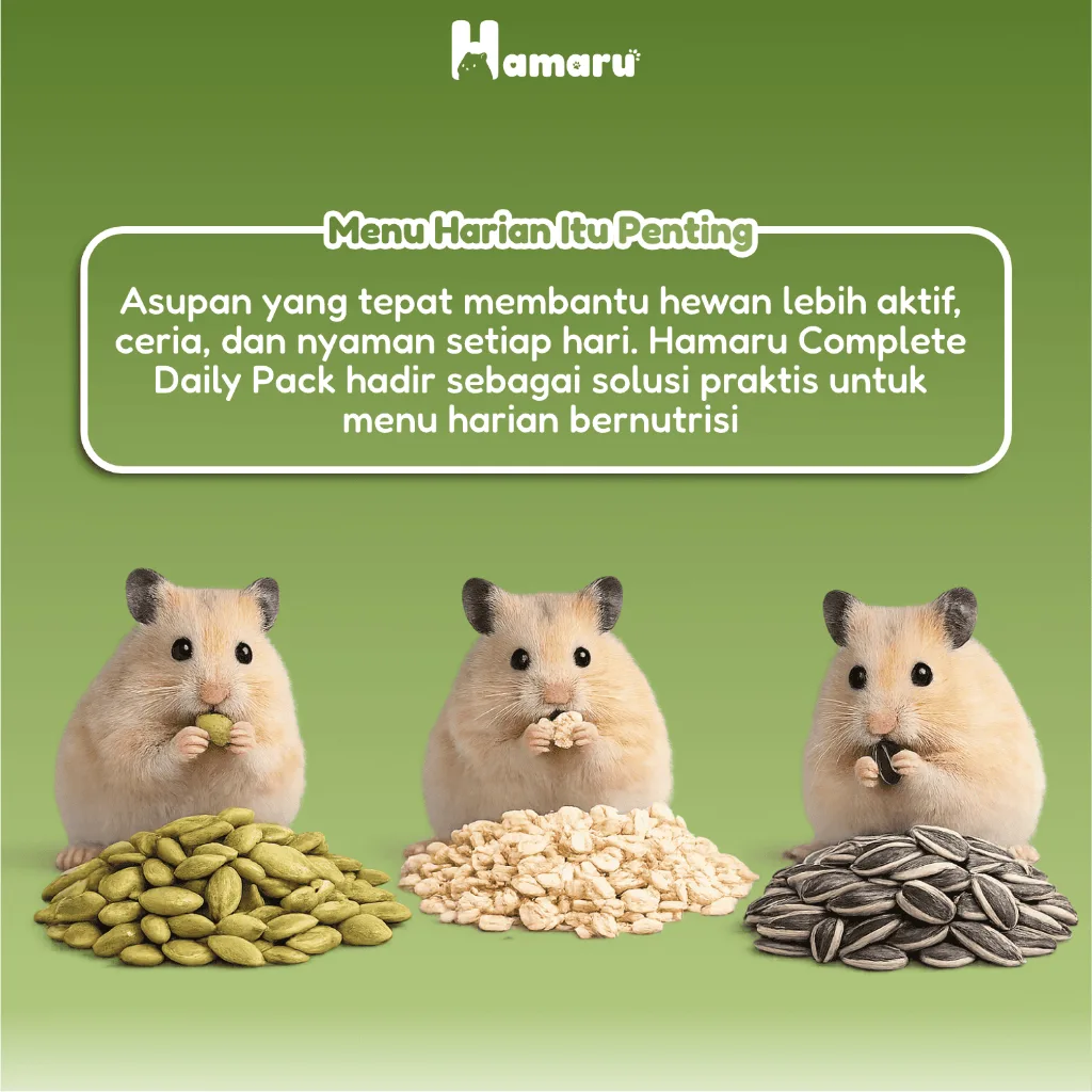 Hamaru Complete Daily Pack Makanan Hamster Paket Lengkap Menu Makanan Harian Bernutrisi (kuaci, Pump Bites, Rolled Oat)