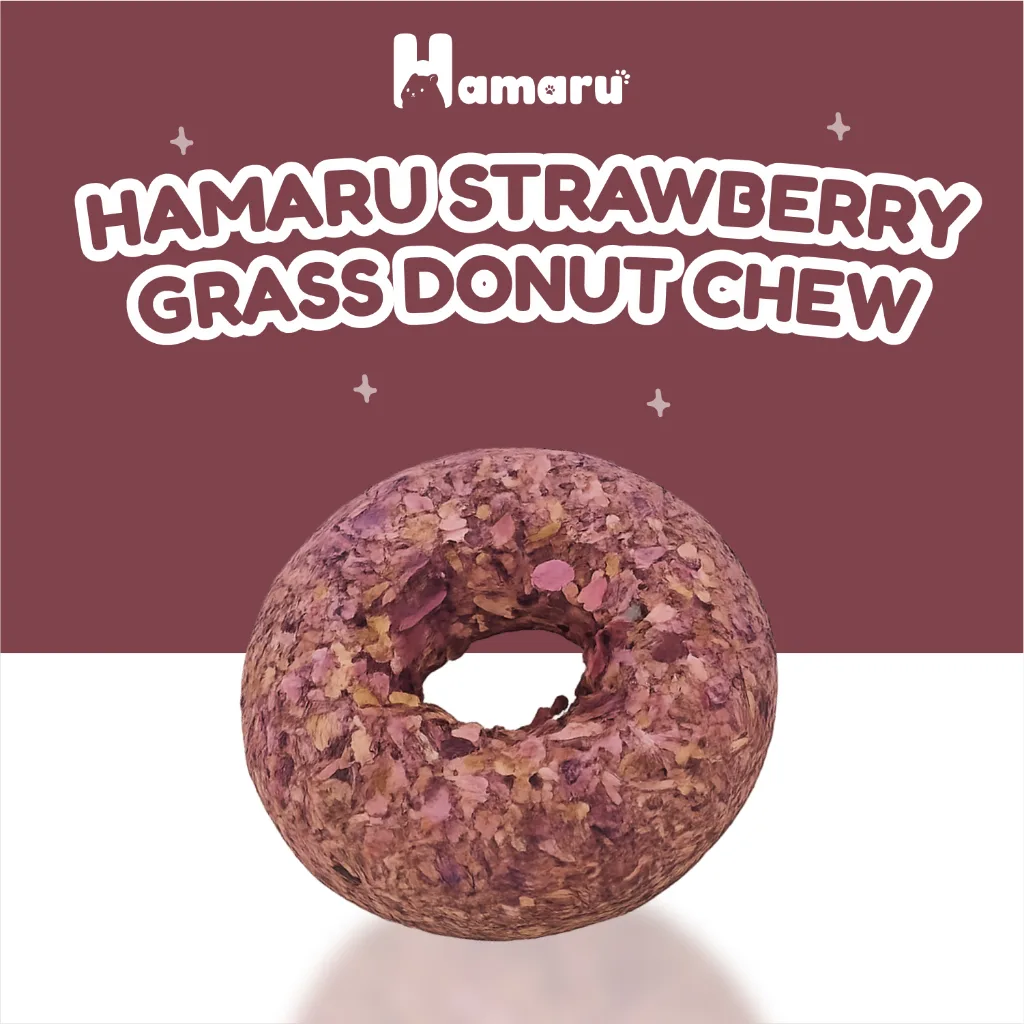 Hamaru Grass Donut Natural Chew Mainan Gigit Hamster Natural Snack Varian Rasa - Strawberry
