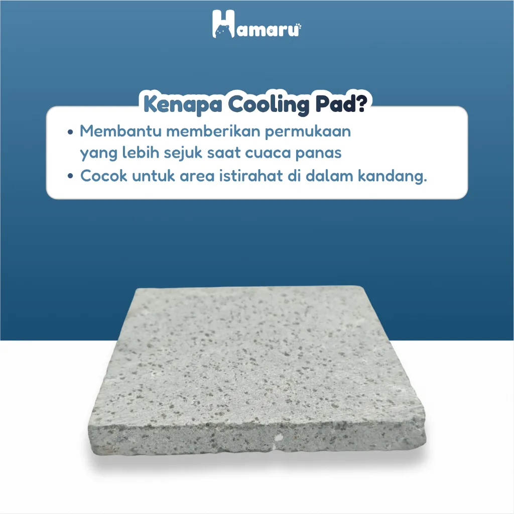 Hamaru Cooling Pad Hamster Marmer Alas Dingin Batu Natural