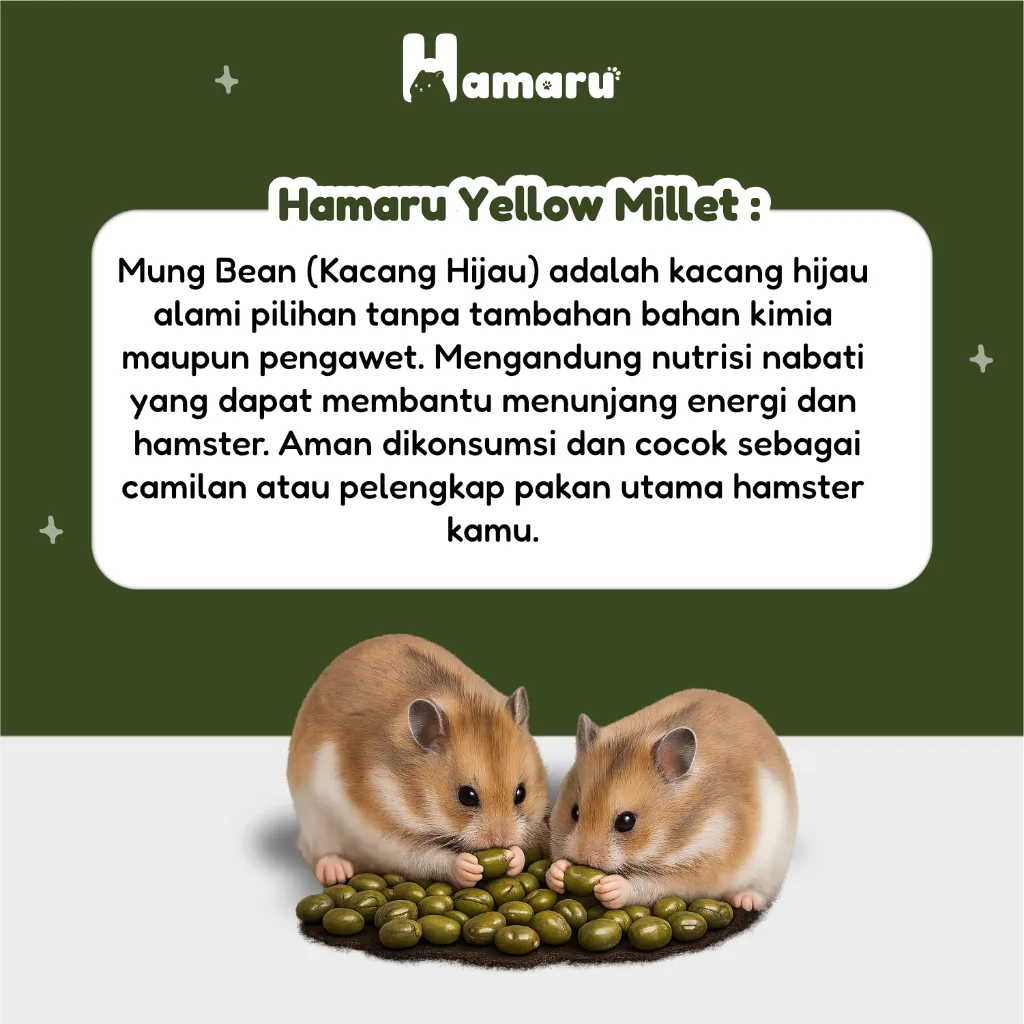 Hamaru Kacang Hijau Mung Bean Premium Alami Natural Pakan Harian Hamster Marmut Hewan Kecil - 150g