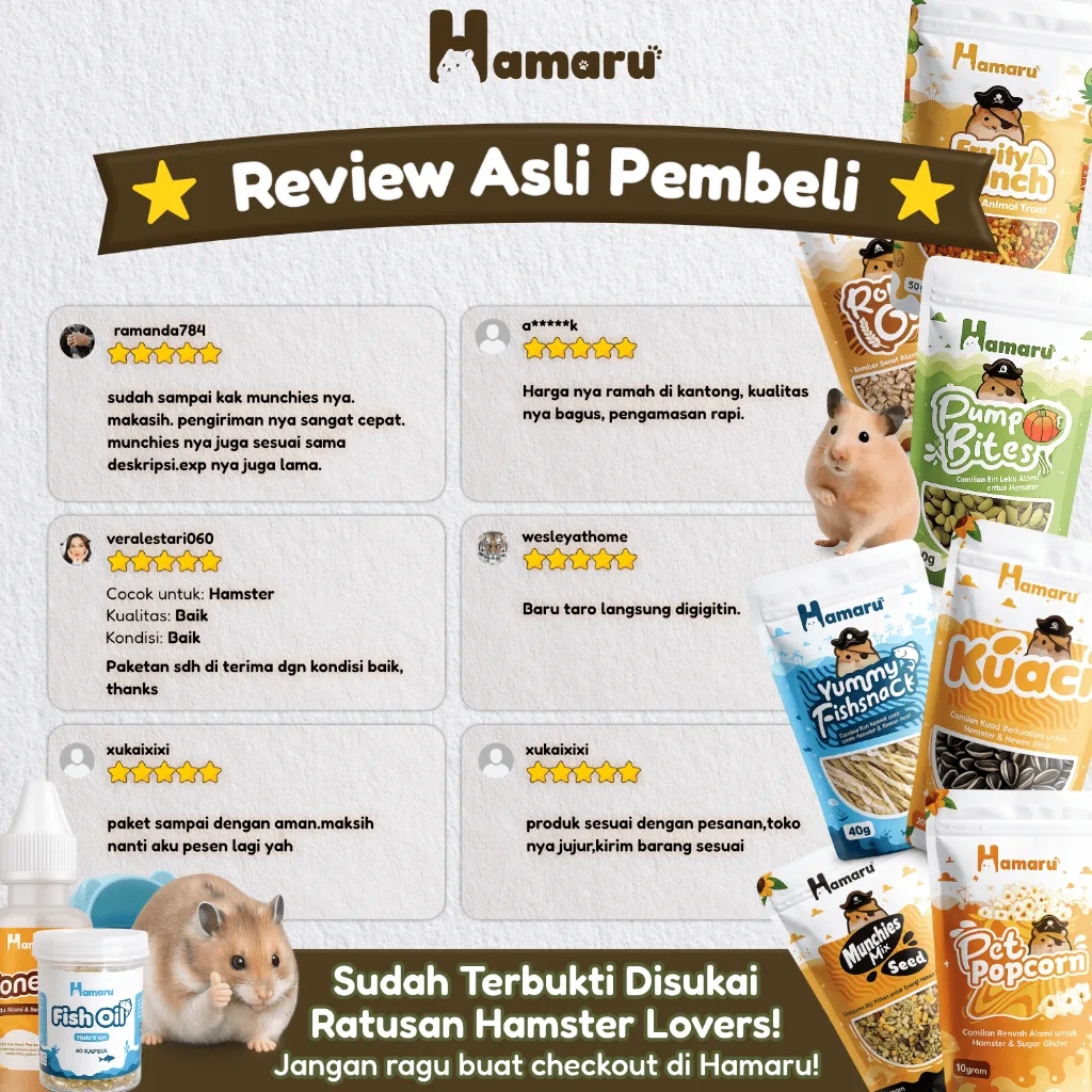 HAMARU Rumah Kayu Hamster DIY Rakitan Murah - Garden House