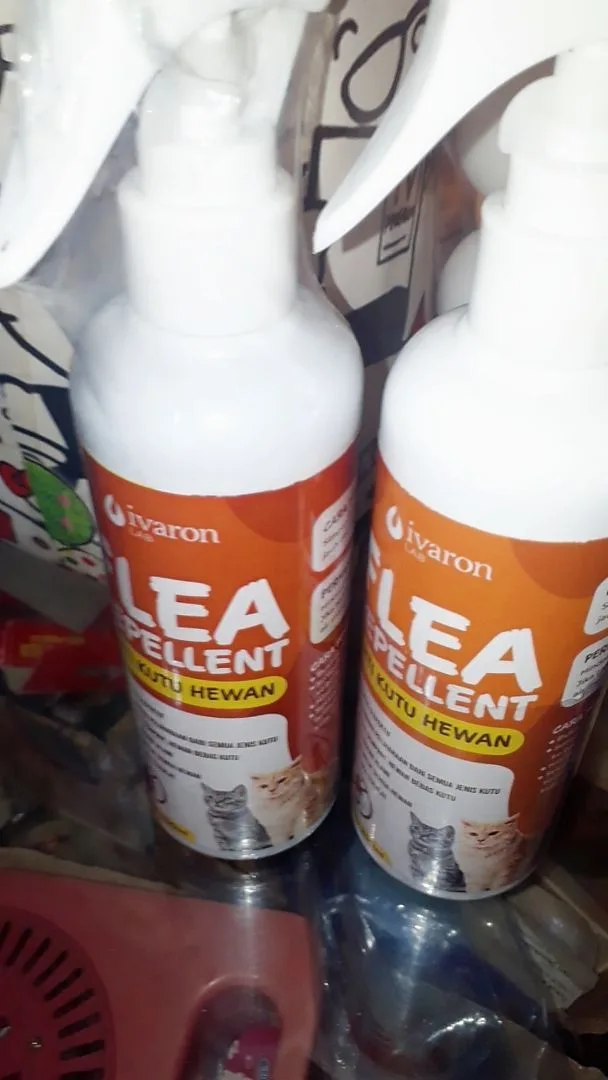 Foto ulasan (anonim)