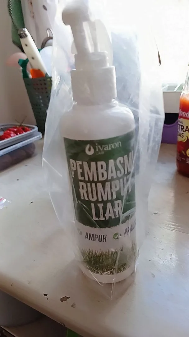 Foto ulasan (anonim)