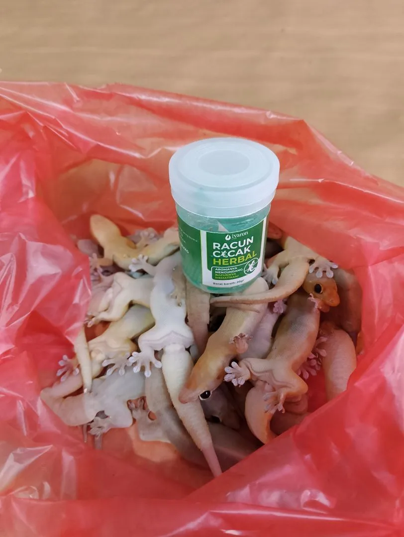 Foto ulasan anirianie