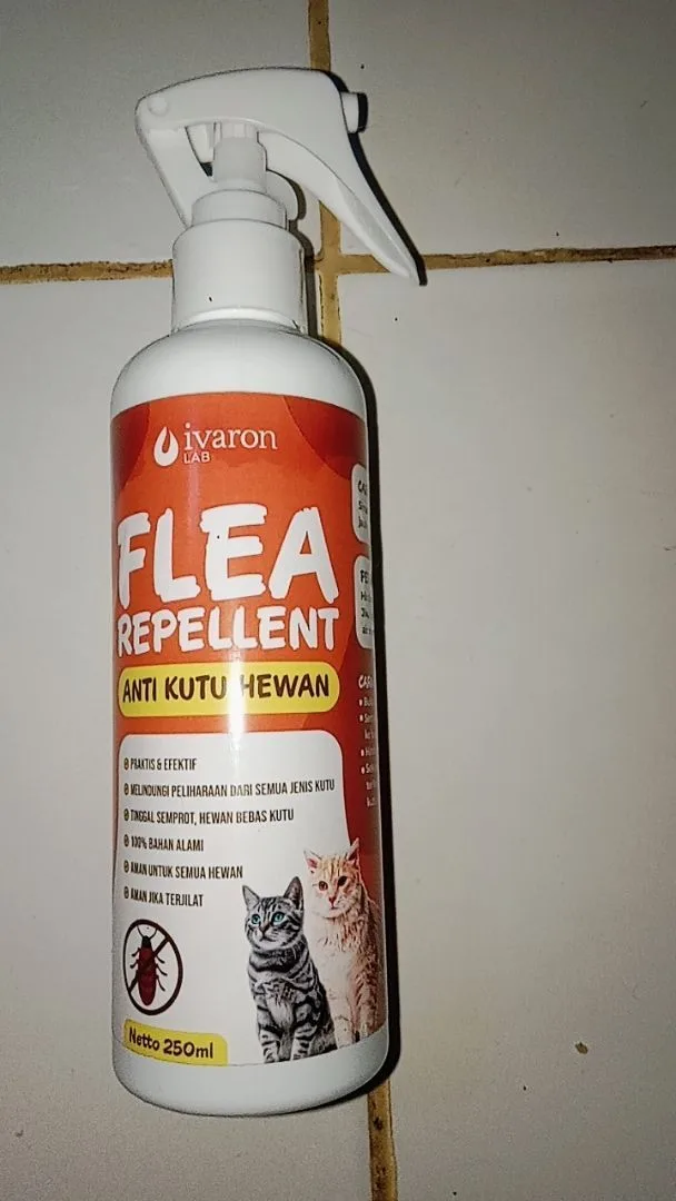 Foto ulasan vidheaesqiabina