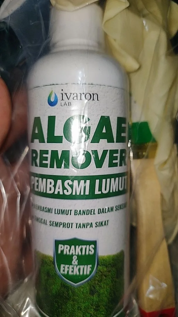 Foto ulasan dadang0461