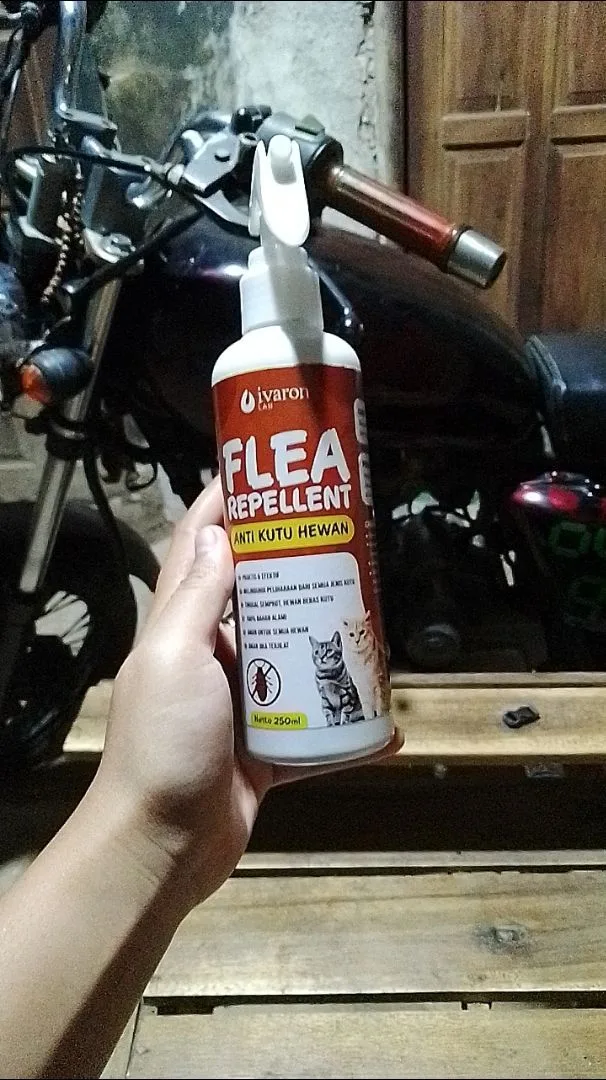 Foto ulasan (anonim)