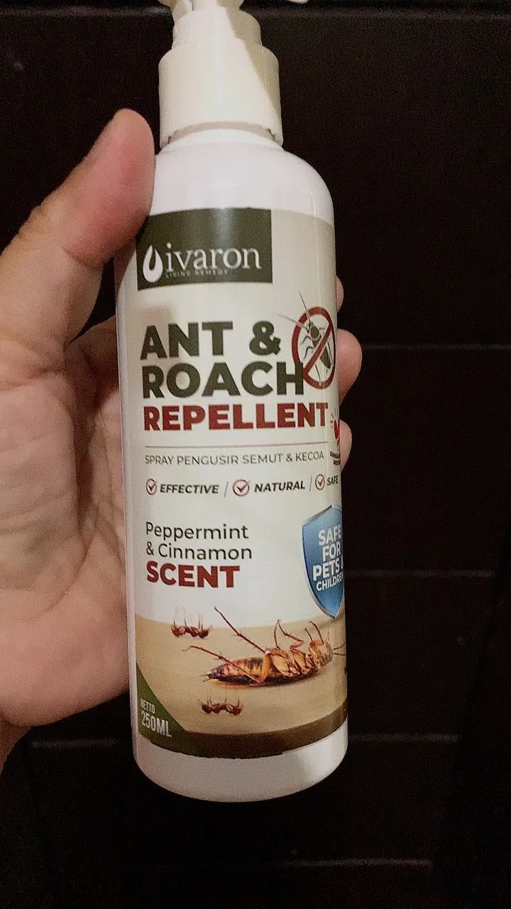 Foto ulasan (anonim)