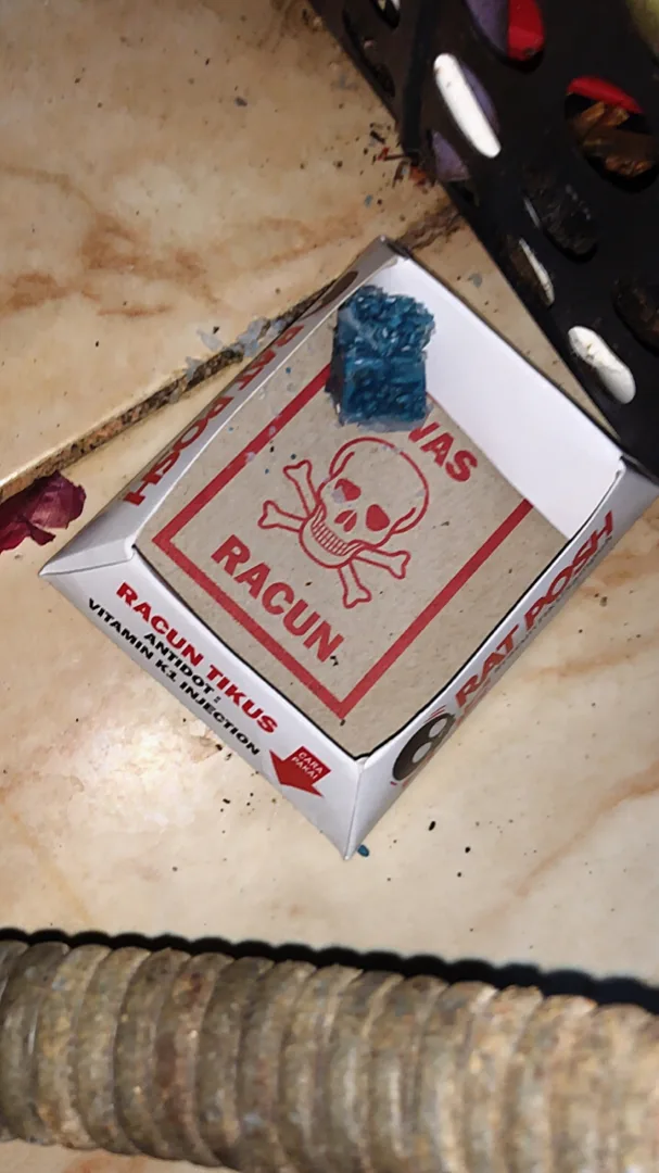 Foto ulasan veraazzahras27